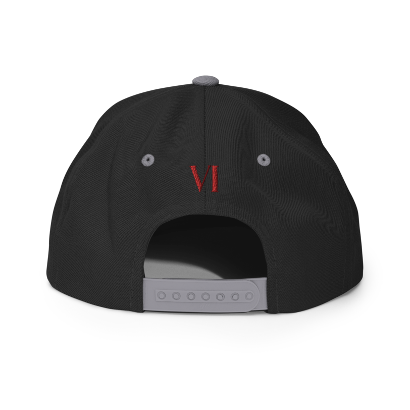 Gorra snapback - Imagen 14